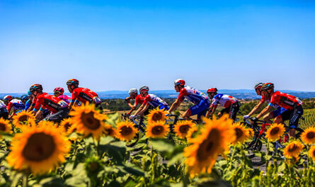 Matt Rendells Inside Stories Of The Tour De France 