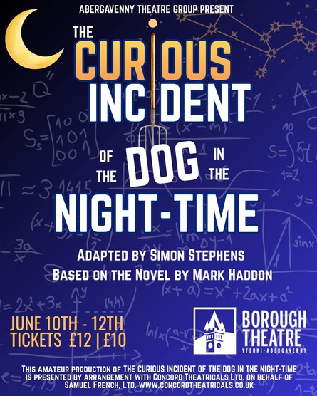 The Curious Incident Of The Dog In The Night Time 